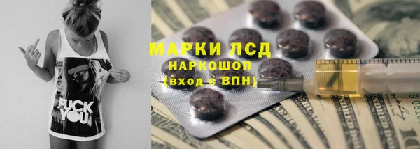 прущие грибы Аркадак