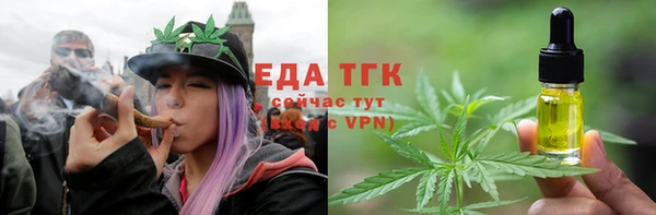 прущие грибы Аркадак