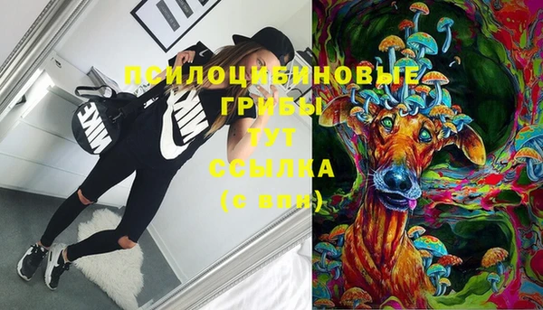 амф Нязепетровск