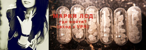 apvp Арсеньев
