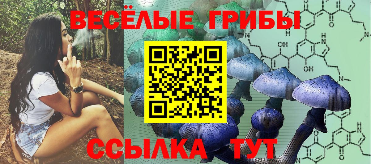 Псилоцибиновые грибы GOLDEN TEACHER Коломна