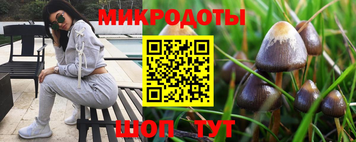 Коломна  Галлюциногенные грибы прущие грибы  Галлюциногенные грибы GOLDEN TEACHER  Вход с VPN 